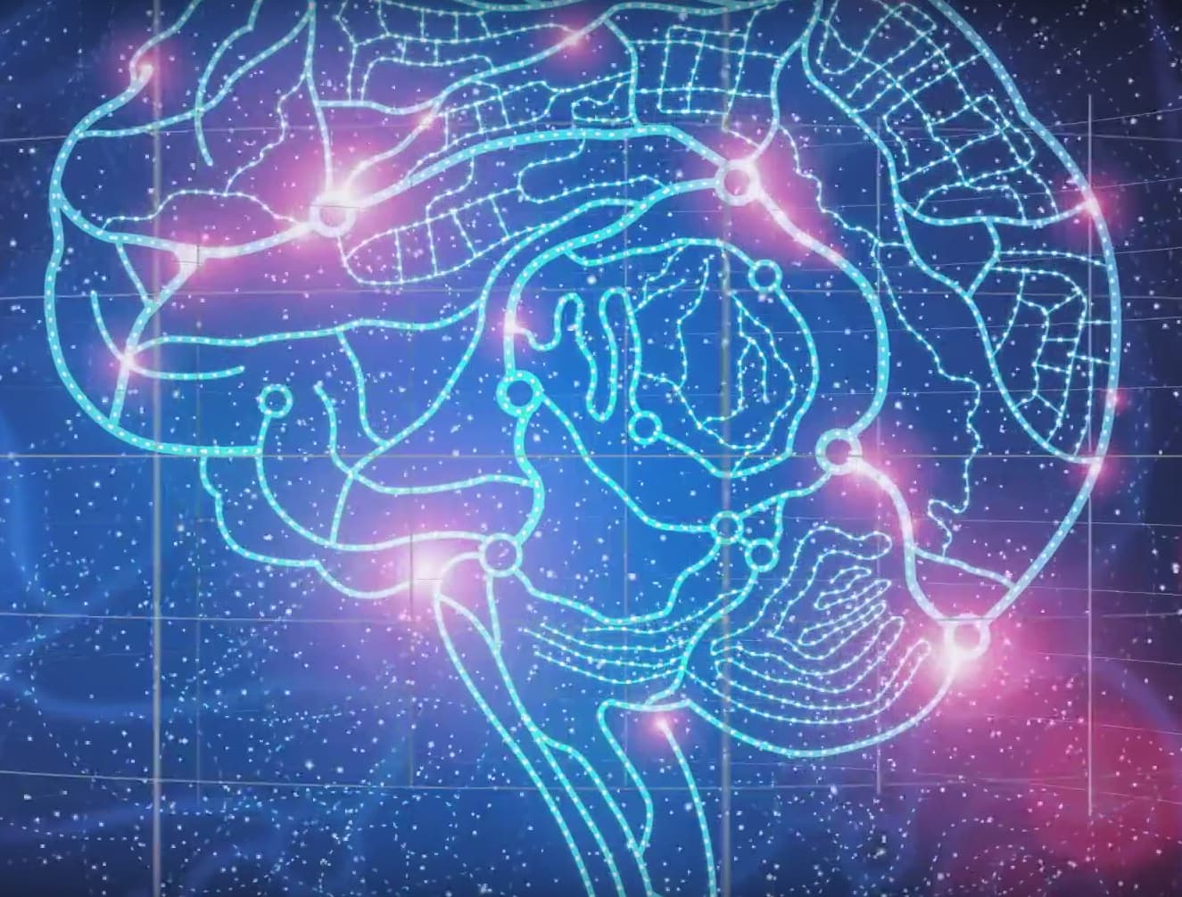 3D Atlas of the human brain